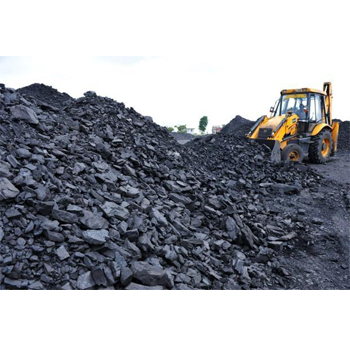 Govt may privatize mining, sale of coal